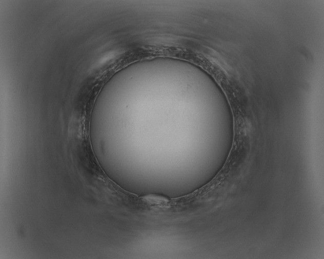 X0000116620965200912241749