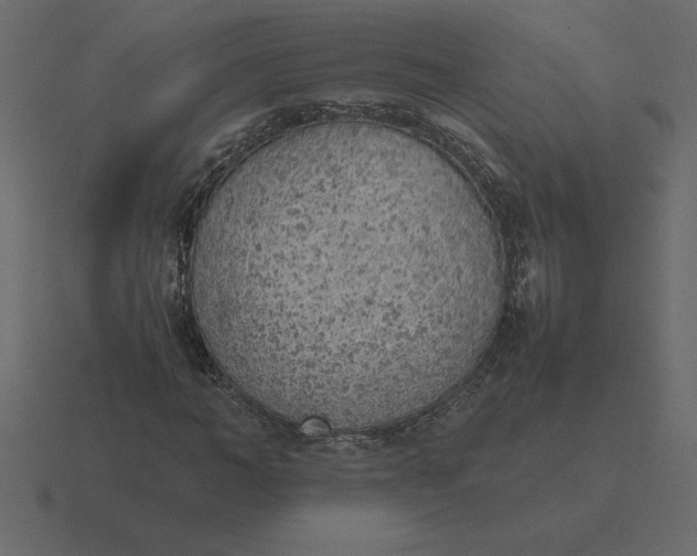 X0000116620966200912241749