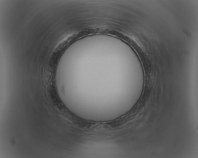 X0000116620967200912241749