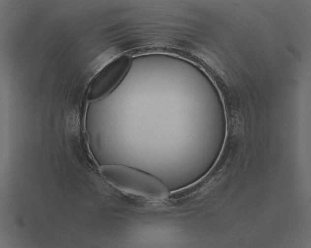 X0000116620969200912241749