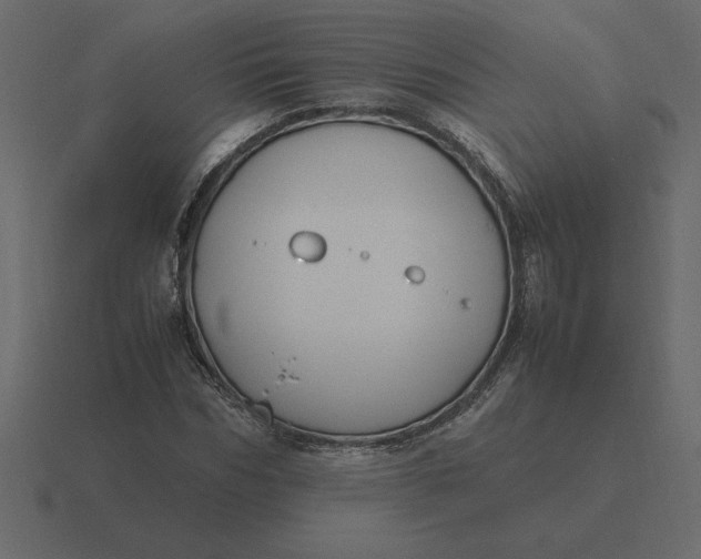 X0000116620970200912241749