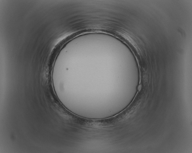 X0000116620971200912241749