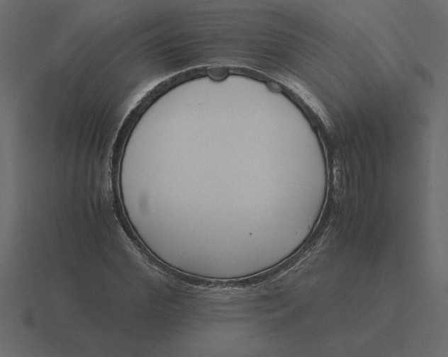 X0000116620972200912241749