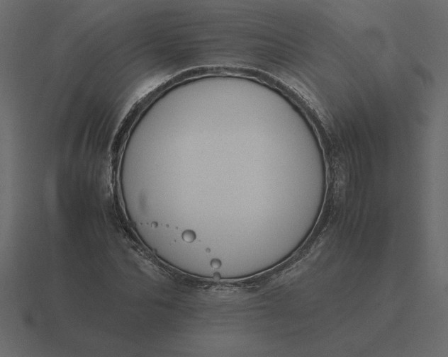 X0000116620974200912241749