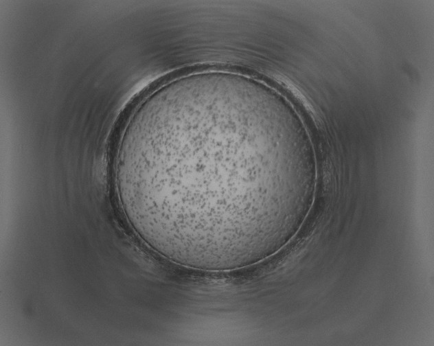 X0000116620975200912241749