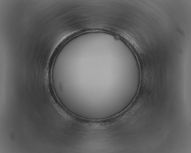 X0000116620976200912241749