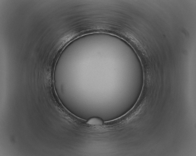 X0000116620977200912241749