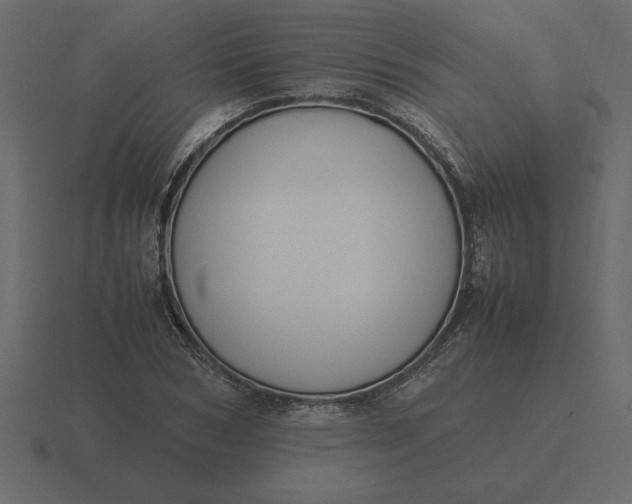 X0000116620978200912241749