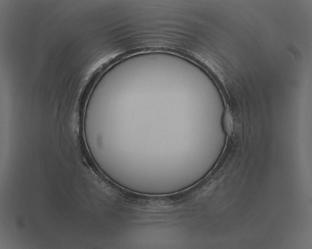 X0000116620979200912241749