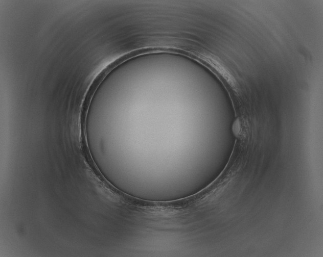 X0000116620980200912241749