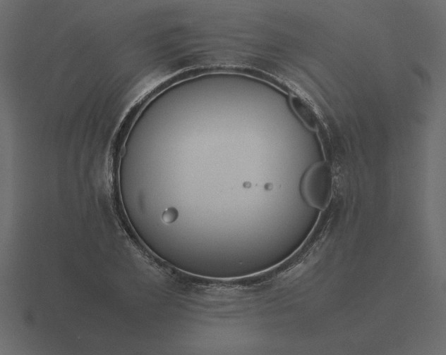 X0000116620981200912241749