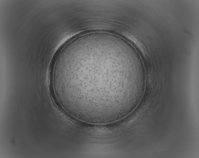 X0000116620983200912241749