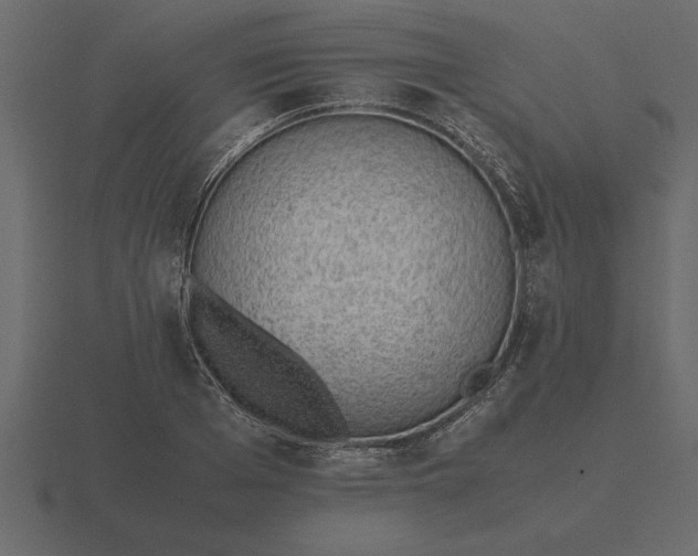 X0000116620985200912241749