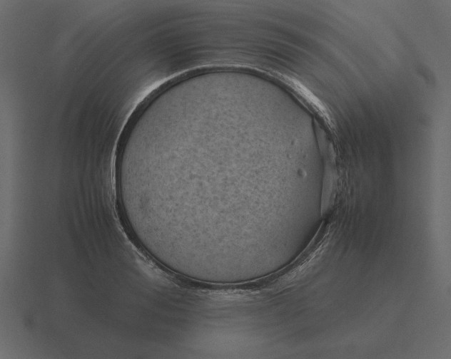 X0000116620988200912241749