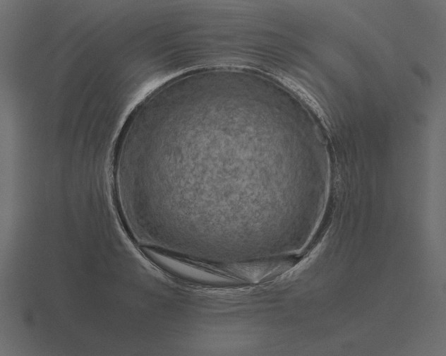 X0000116620989200912241749