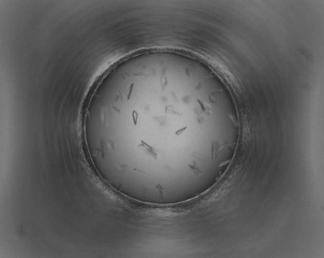 X0000116620990200912241749