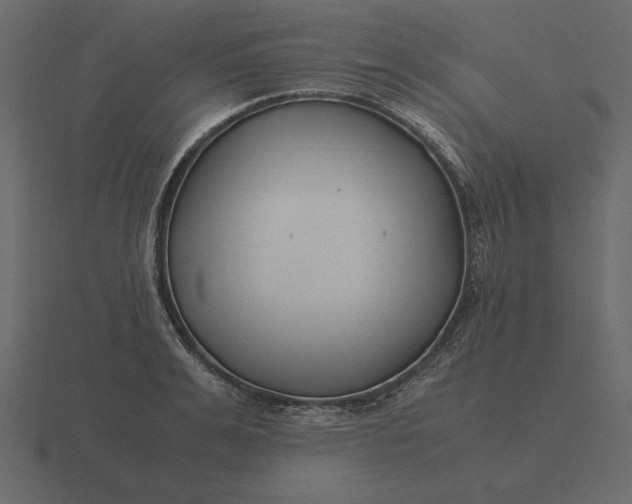 X0000116620991200912241749