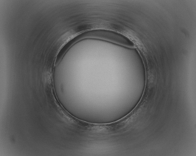 X0000116620993200912241749