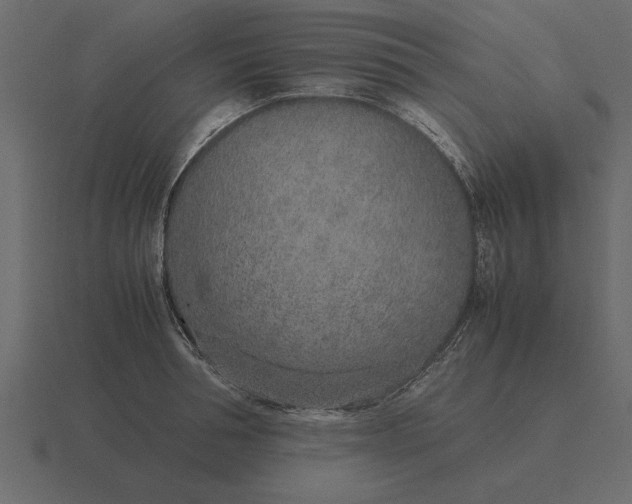 X0000116620994200912241749