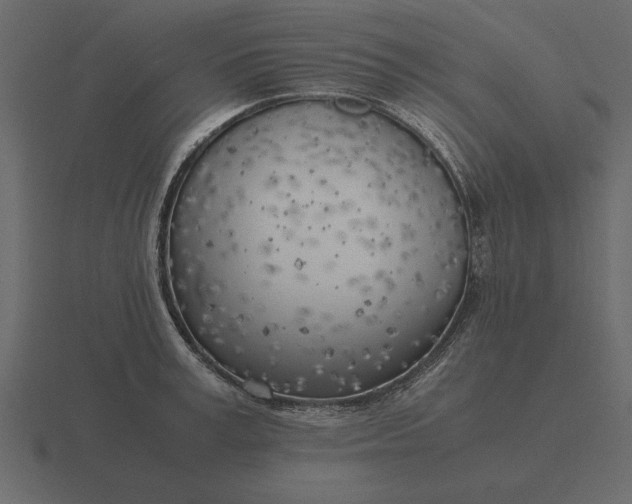 X0000116620995200912241749