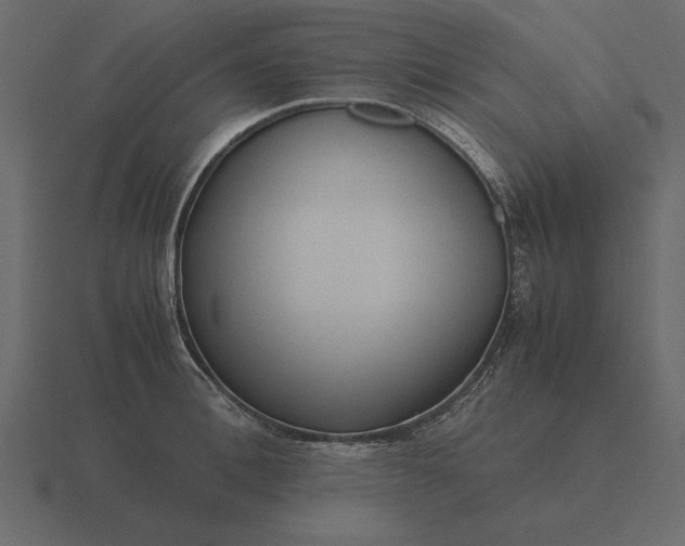 X0000116620996200912241749