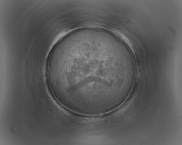 X0000116620997200912241749