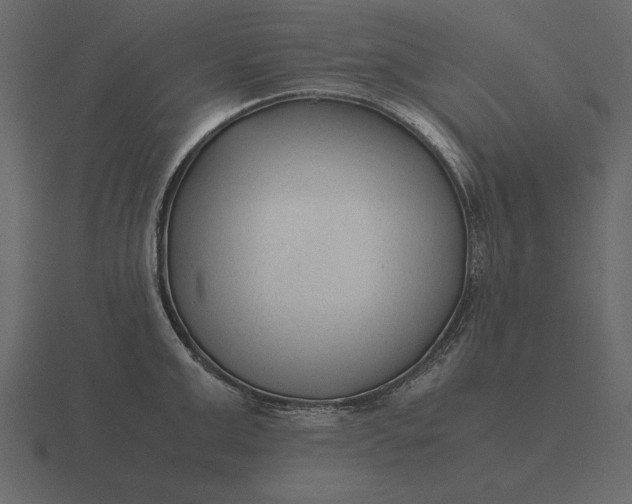 X0000116620999200912241749