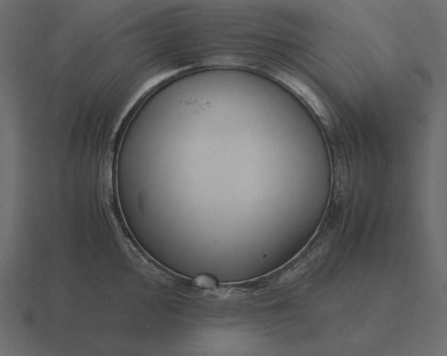 X0000116621000200912241749