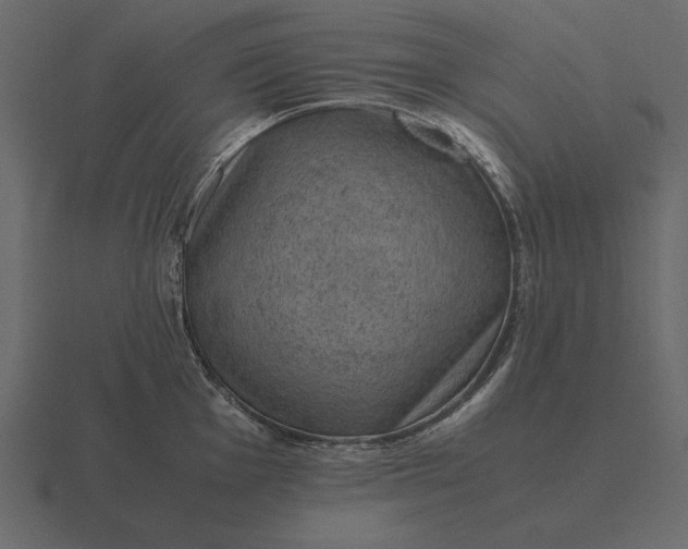 X0000116621001200912241749