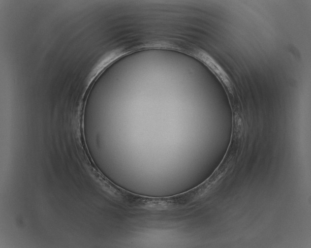 X0000116621002200912241749