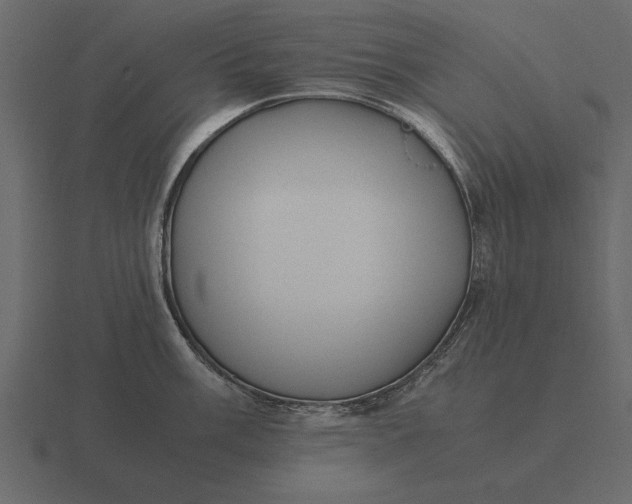 X0000116621003200912241749