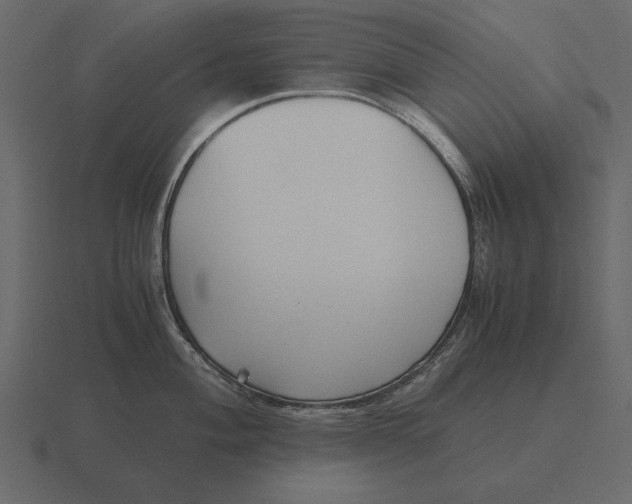 X0000116621004200912241749