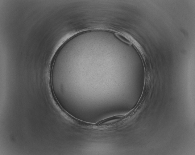 X0000116621005200912241749