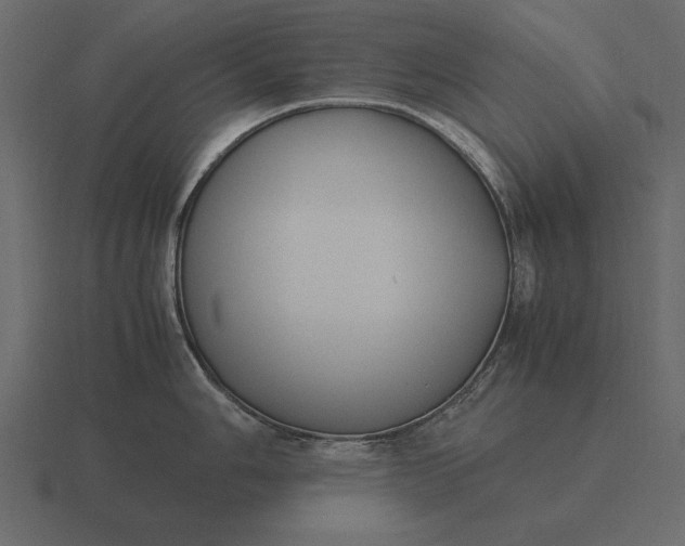 X0000116621006200912241749