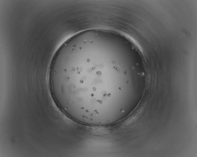 X0000116621007200912241749