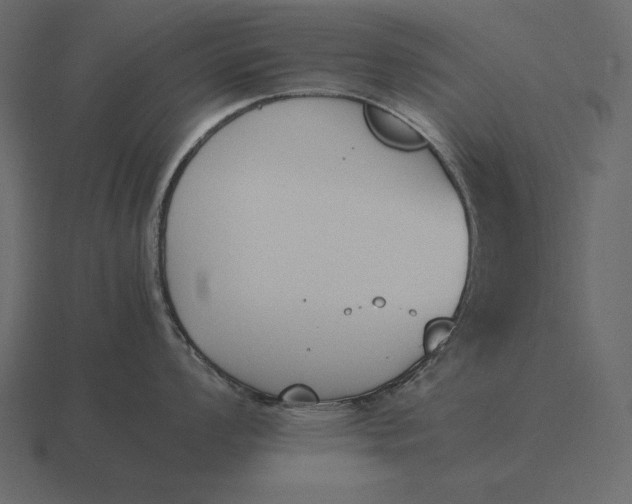 X0000116621008200912241749