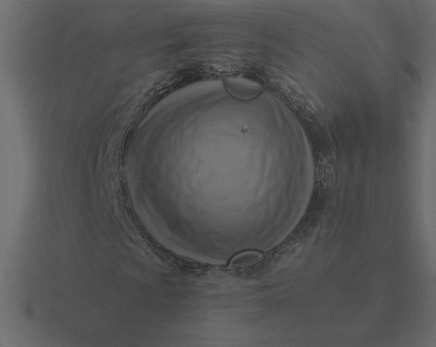 X0000116621009200912241748