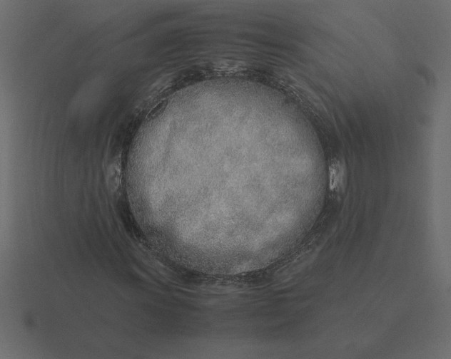 X0000116621011200912241748