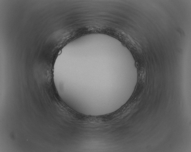 X0000116621012200912241748