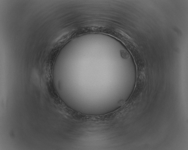 X0000116621014200912241748