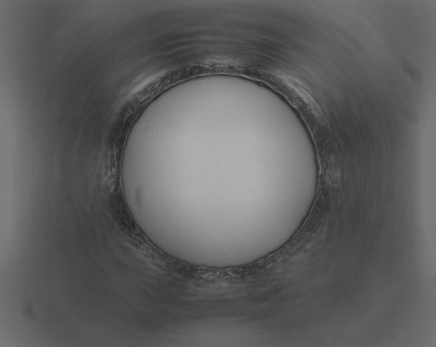 X0000116621015200912241748