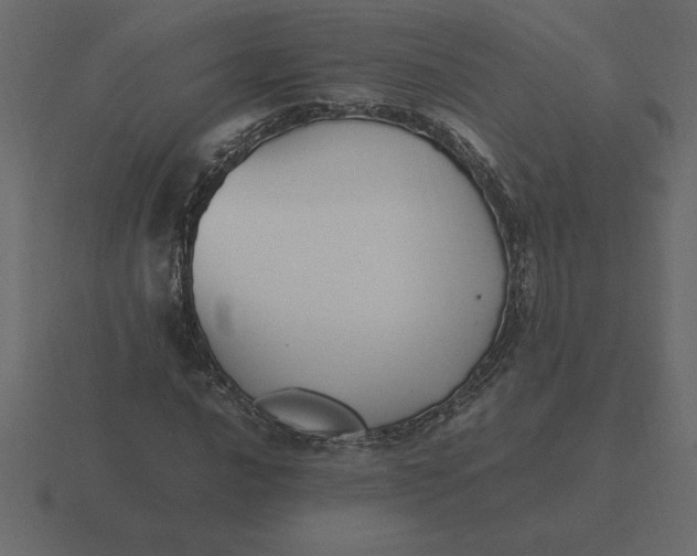 X0000116621016200912241748