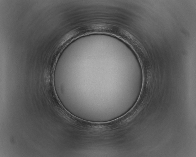 X0000116621017200912241748