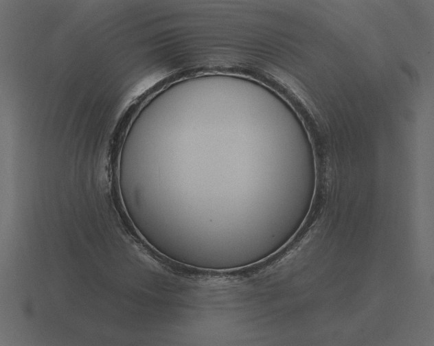 X0000116621018200912241748