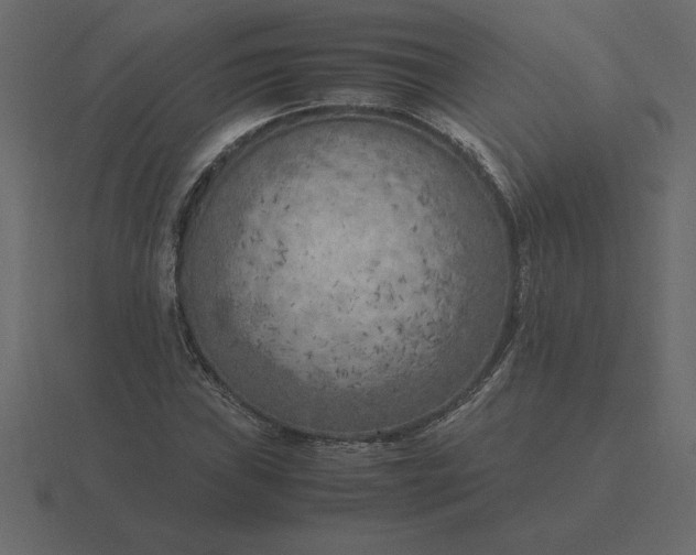 X0000116621019200912241748