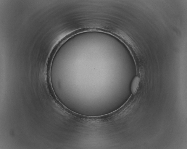 X0000116621020200912241748