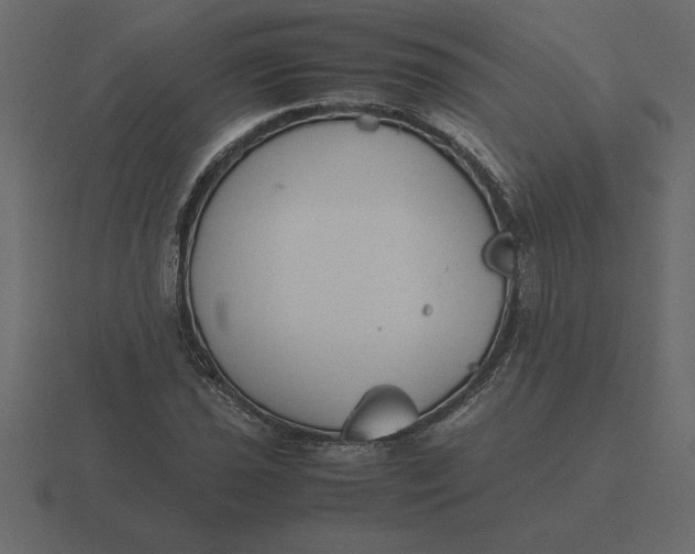 X0000116621021200912241748