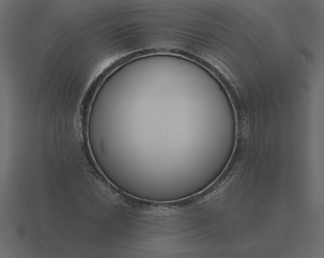 X0000116621022200912241748