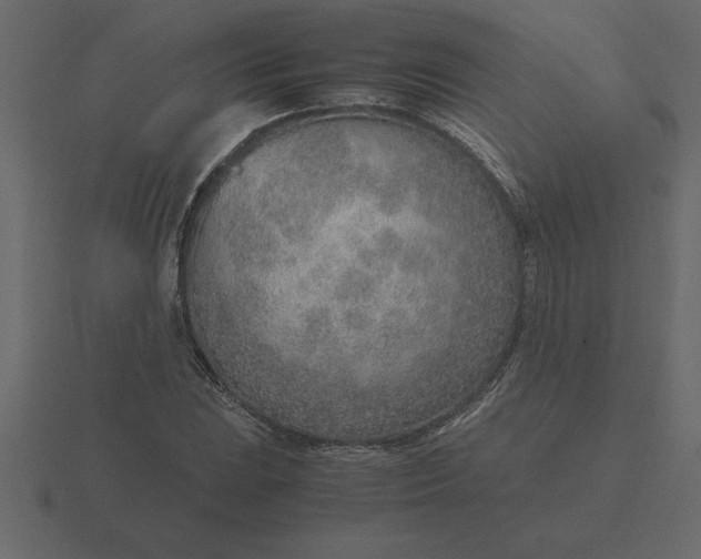 X0000116621023200912241748