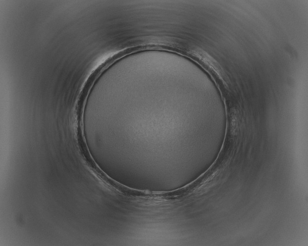 X0000116621024200912241748